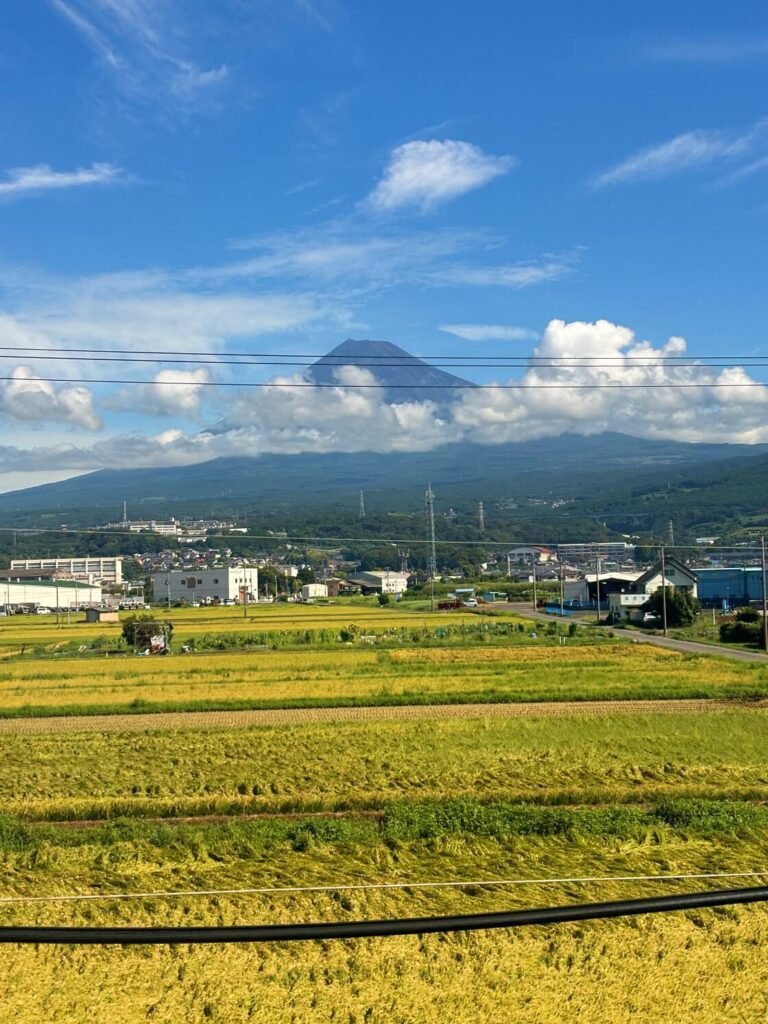 MOUNT FUJI (1)